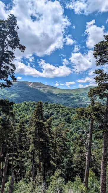 From Tbilisi: Bakuriani 1-Day Eco Tour by Electric Car - Key Points