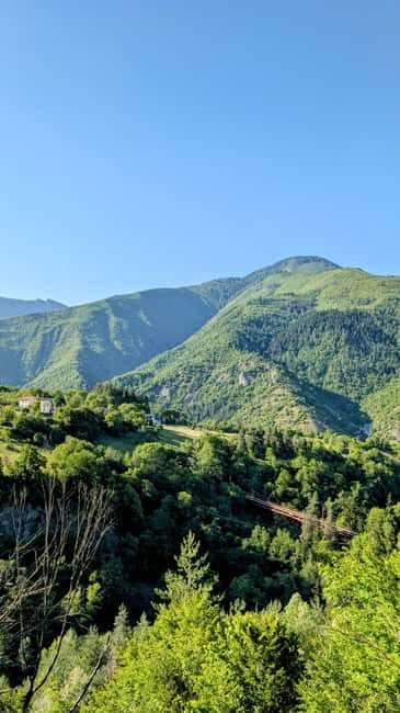 From Tbilisi: Bakuriani 1-Day Eco Tour by Electric Car - What to Expect on This Eco Tour