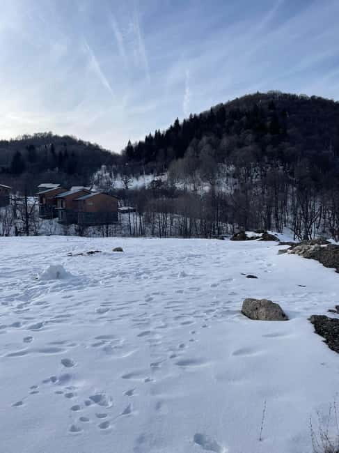 From Tbilisi: Bakuriani and Borjomi Day Trip - Borjomi: The Mineral Springs and Park