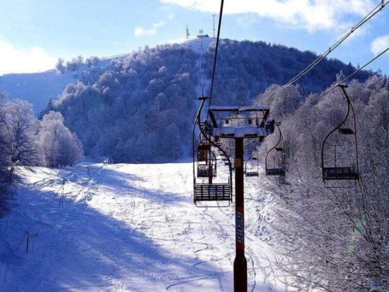 From Tbilisi: Borjomi and Bakuriani Ski resort Day Trip - Key Points