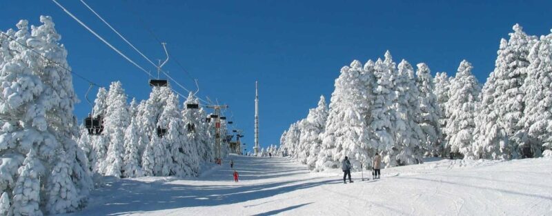 From Tbilisi: Borjomi and Bakuriani Ski resort Day Trip - The Value for Your Money