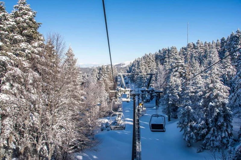 From Tbilisi: Borjomi and Bakuriani Ski Resort Private Tour - Key Points