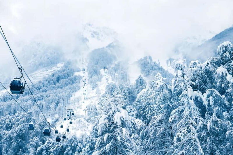 From Tbilisi: Borjomi and Bakuriani Ski Resort Private Tour - Final Thoughts