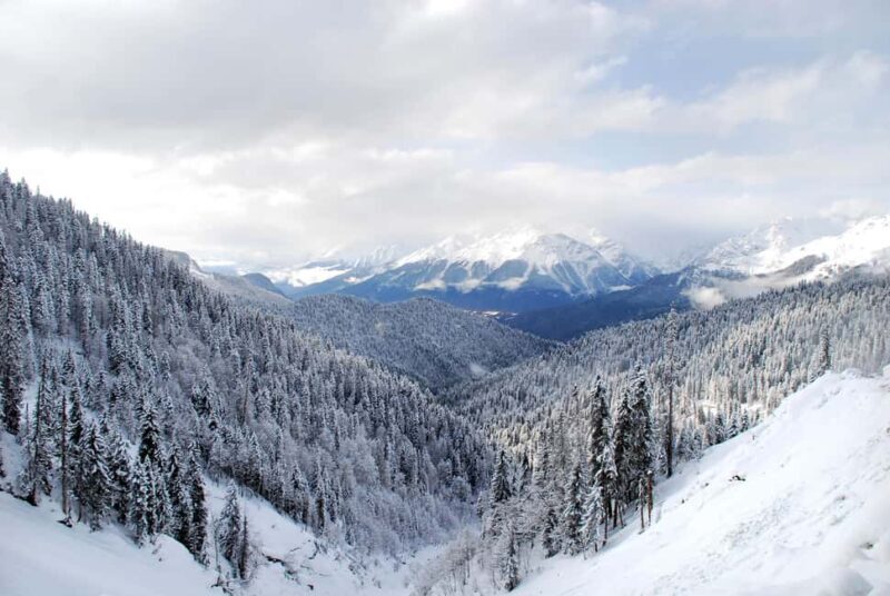 From Tbilisi: Borjomi and Bakuriani ski resort Tour - Final Thoughts