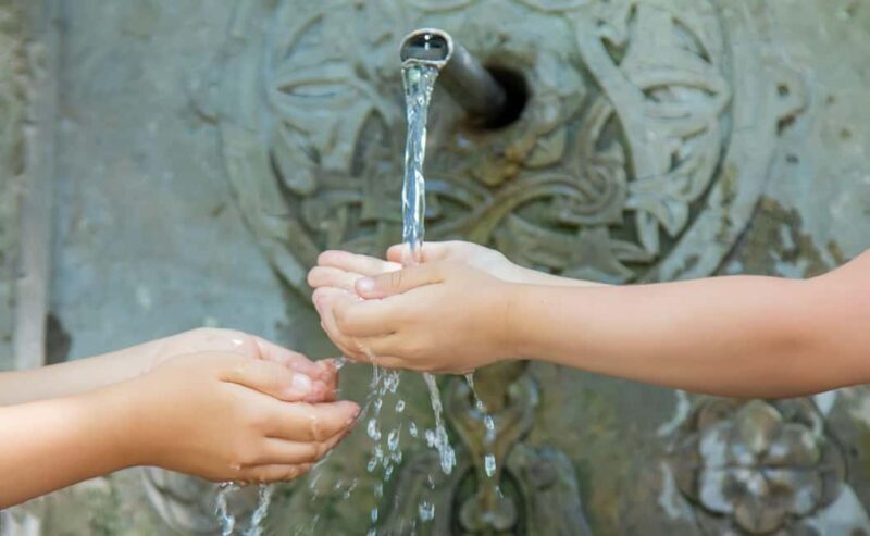 From Tbilisi: Borjomi National Park & Green Monastery Tour - Key Points