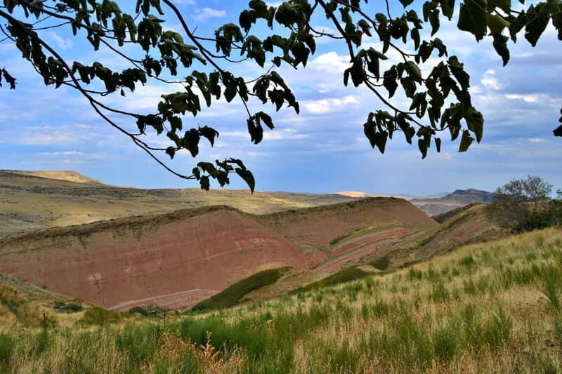 From Tbilisi: David Gareji Monastery and Wine Tasting Tour - What You Can Expect on This Tour