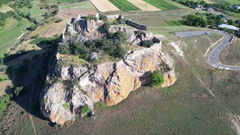 From Tbilisi: Dmanisi Archaeological Site Day Trip - Final Thoughts: Who Should Book This Tour?