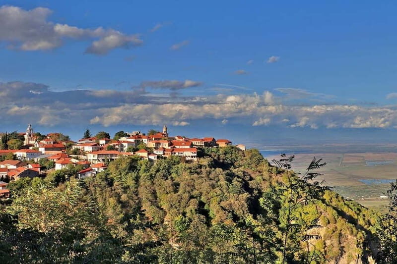 From Tbilisi: Kakheti Tour - Bodbe, Sighnaghi, wine tasting - Value and Practical Considerations