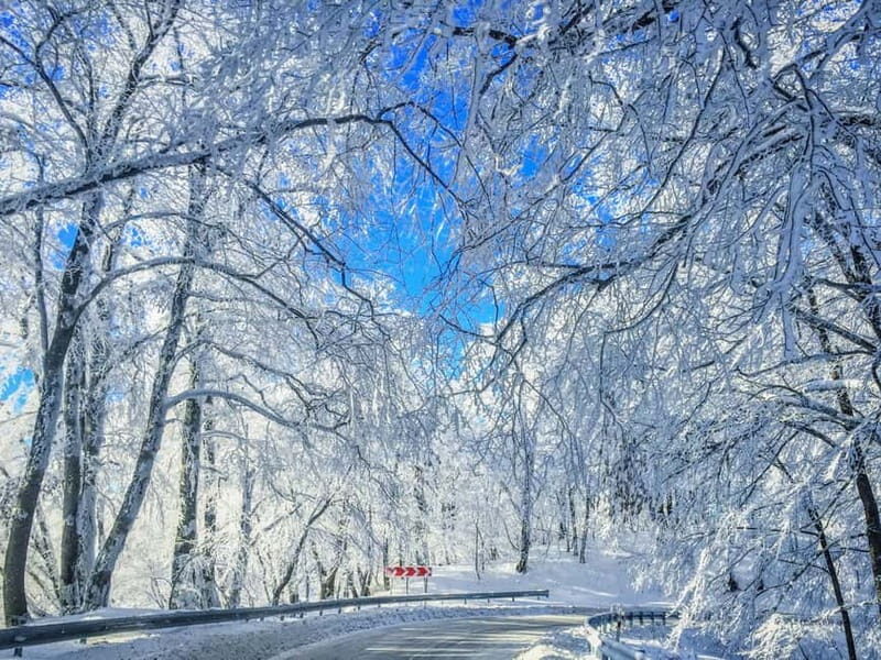 From Tbilisi: Private Sabaduri, Ananuri, & Gudauri Day Trip - Key Points