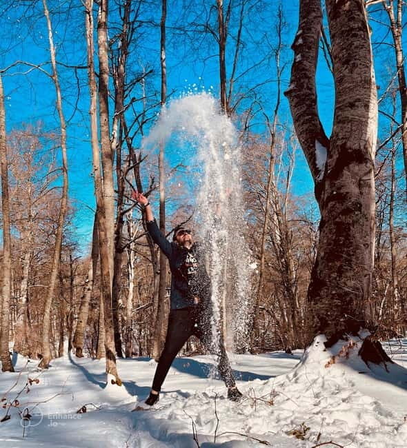 From Tbilisi: Sabaduri, Bears, Jvari & Chronicle of Georgia - Who Is This Tour Best For?