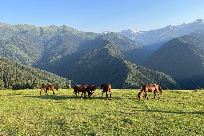 From Tbilisi: Svaneti 4 Days Private tour (Mestia, Ushguli) - How We Feel About the Value