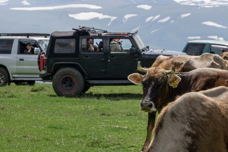 From Tbilisi: Tsalka Hills Off-Road Jeep Tour with BBQ - The Experience Provider: Offroad Georgia