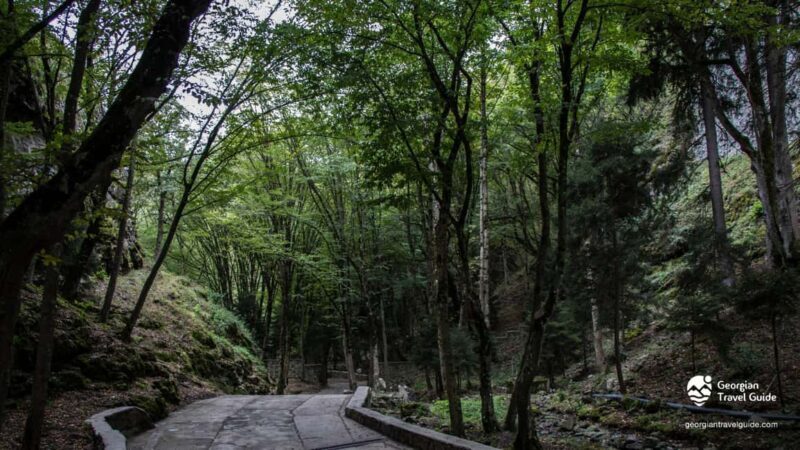 From Tbilisi: Uplistsikhe, Borjomi Gorge & Sulfur Baths Tour - The Practicalities