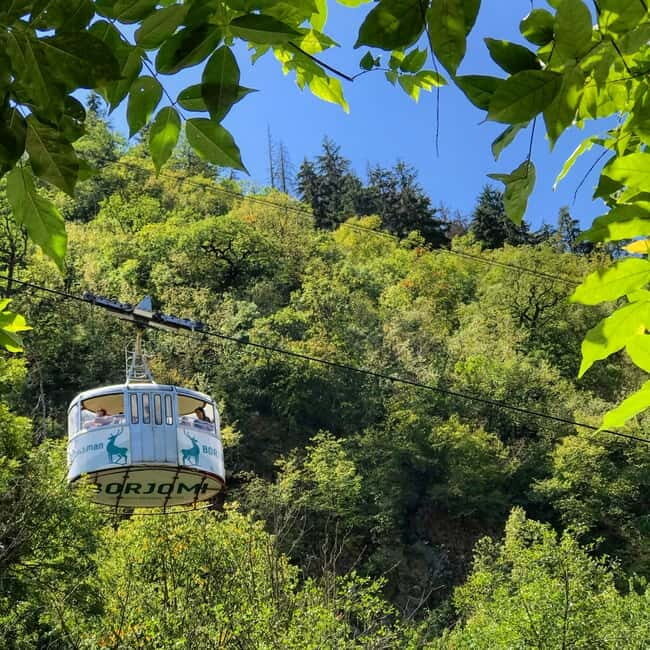 From Tbilisi: Vardzia, Rabati, and Borjomi Private Tour - Final Thoughts