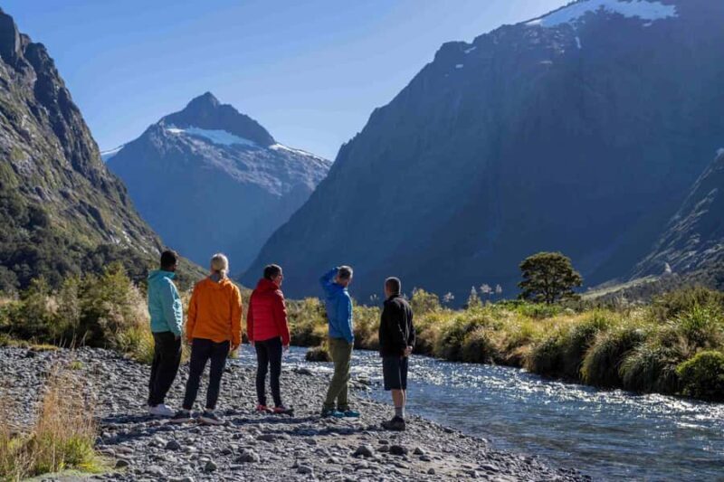 From Te Anau: Milford Sound Coach, Cruise, and Walks - An Overview of the Milford Sound from Te Anau Experience