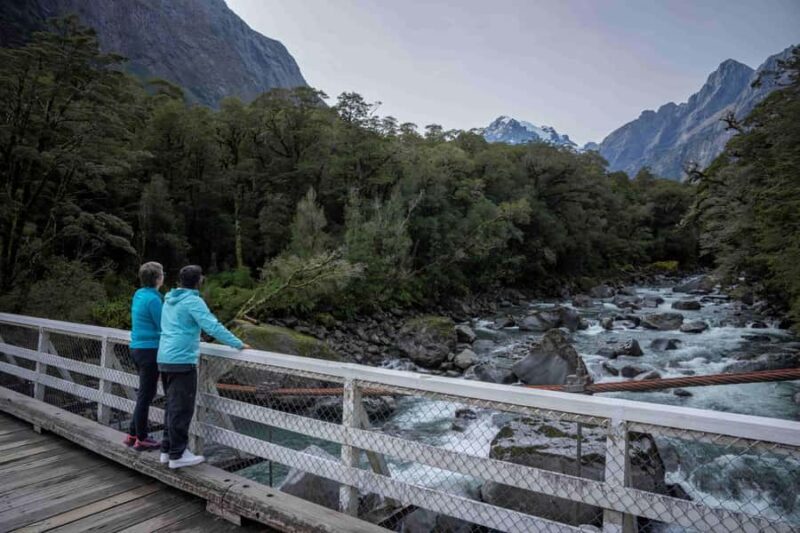 From Te Anau: Milford Sound Coach, Cruise, and Walks - The Role of the Guides: Knowledge and Personality