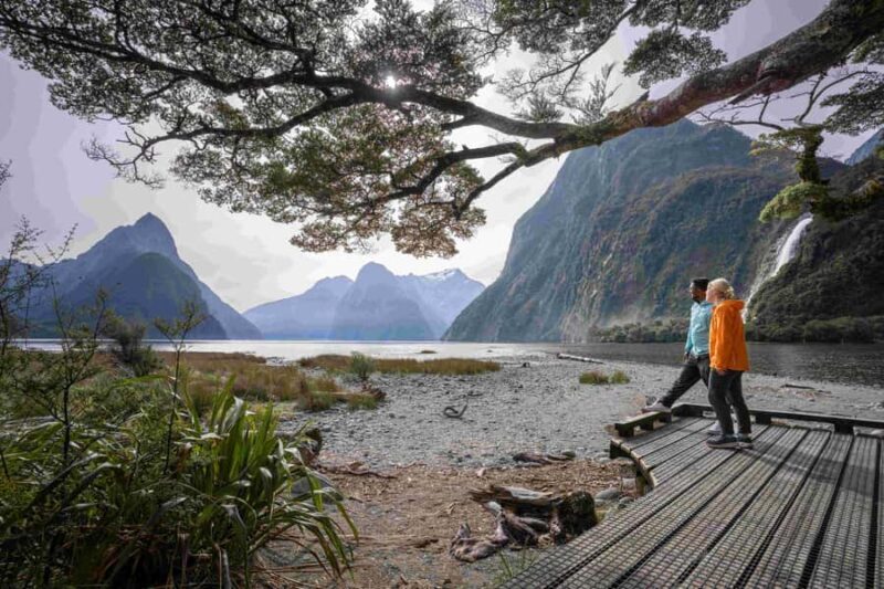 From Te Anau: Milford Sound Coach, Cruise, and Walks - Who Will Love This Tour?