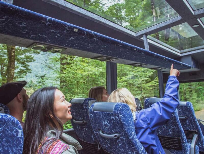 From Te Anau: Milford Sound Coach Tour and Cruise - An Overview of the Tour Experience
