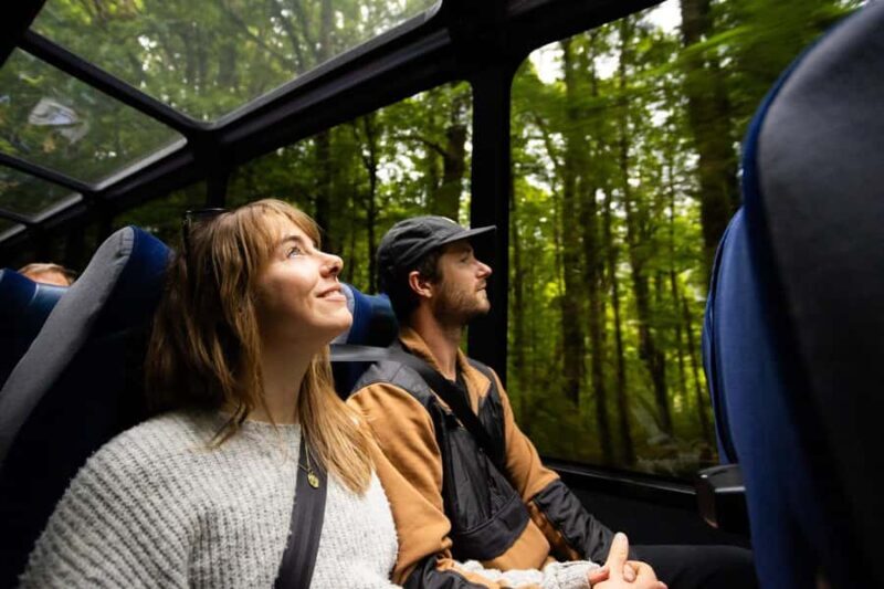 From Te Anau: Milford Sound Cruise and Coach Day Trip - Final Words