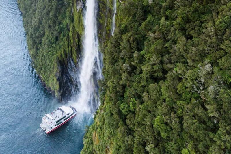 From Te Anau: Milford Sound Premium Bus Tour and Cruise - Key Points