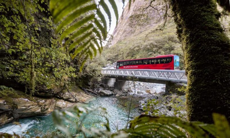 From Te Anau: Milford Sound Premium Bus Tour and Cruise - Final Tips