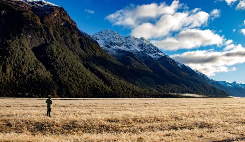 From Te Anau: Milford Sound Small-Group Tour Including Lunch - FAQ