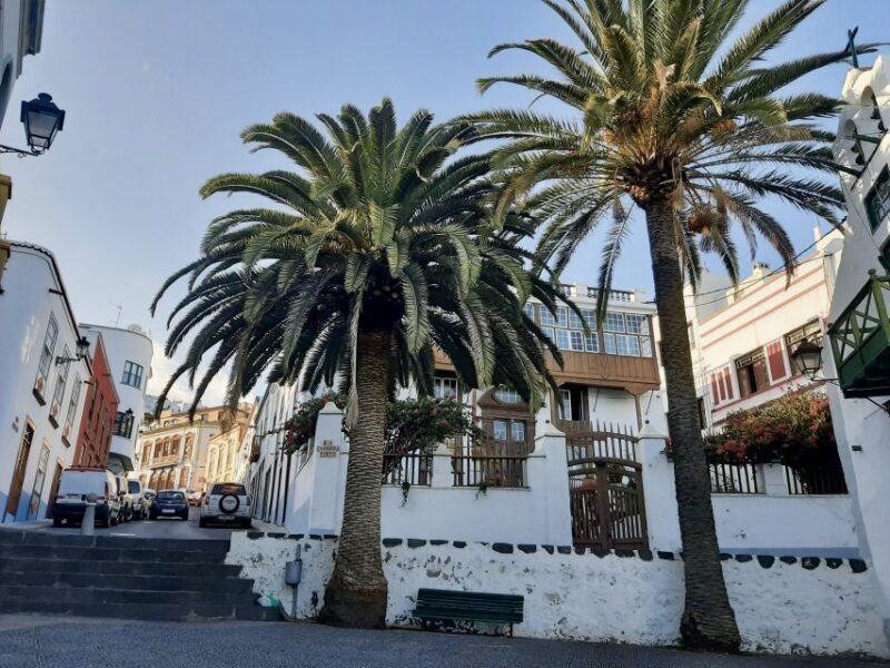 From Tenerife: Day Trip to La Palma Volcanic Landscapes - Key Points