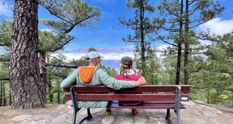 From Tenerife: Day Trip to La Palma Volcanic Landscapes - Lunch and Local Life in El Paso