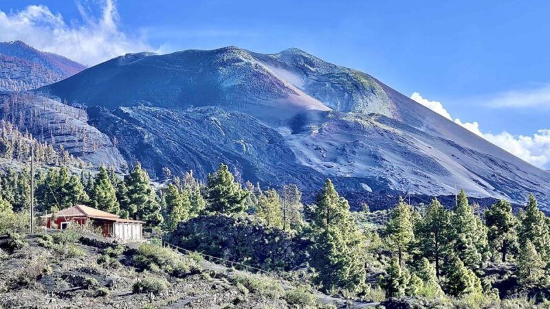 From Tenerife: Day Trip to La Palma Volcanic Landscapes - The Real Value of This Tour
