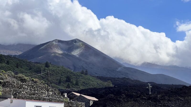 From Tenerife: Day Trip to La Palma Volcanic Landscapes - Who Would Love This Tour?