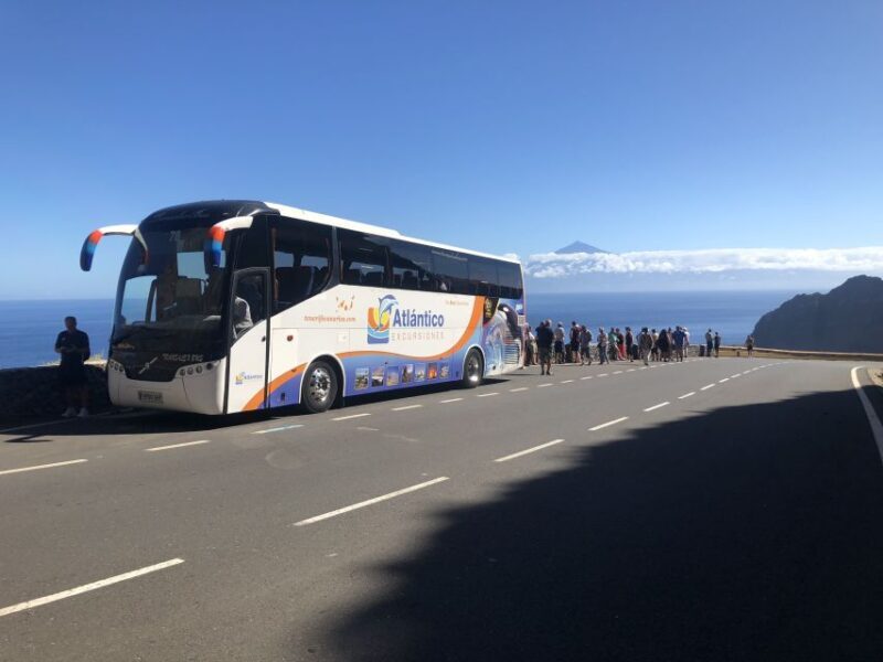 From Tenerife: Guided Tour to La Gomera with Ferry Ticket - The Itinerary in Detail: What You Can Expect
