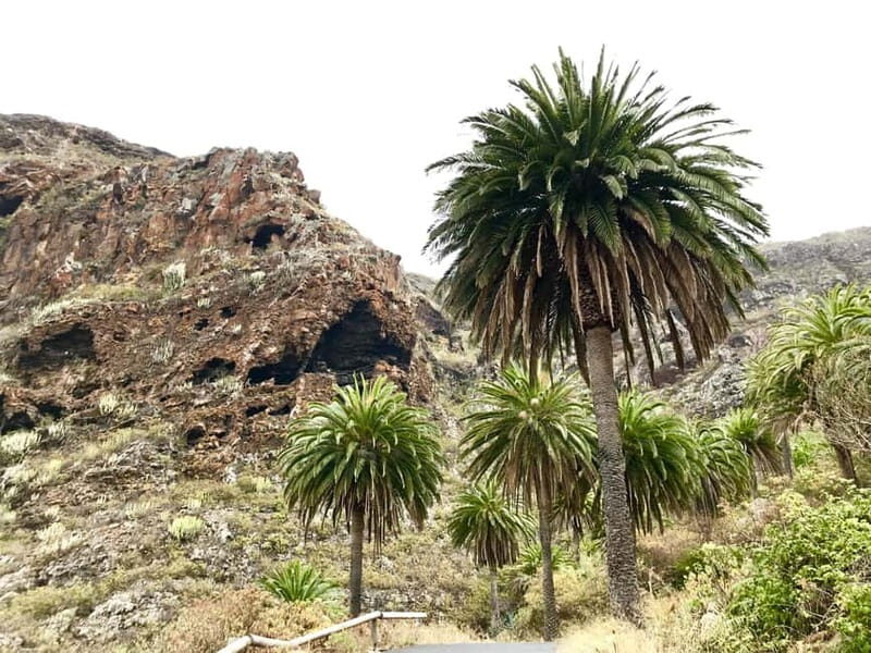 From Tenerife South: La Gomera Full-Day Trip with Transfers - Who Would Love This Tour?