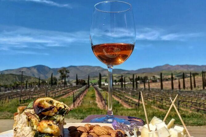 From the Border Valle de Guadalupe Private Wine Tour - Key Points