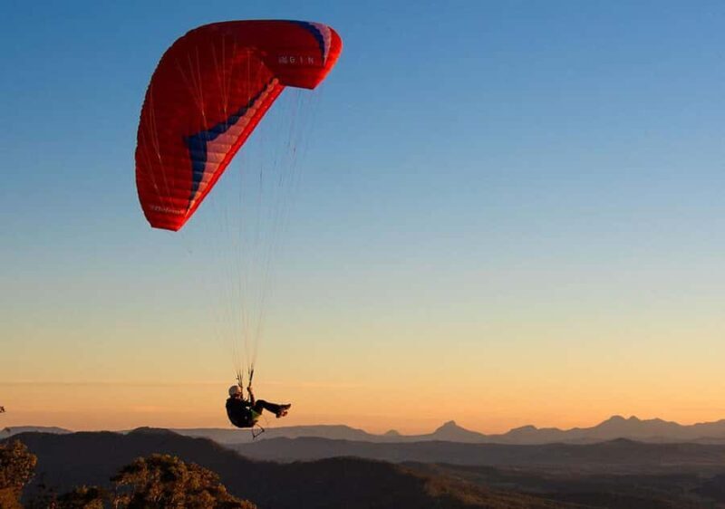 From the Gold Coast Hop on Hop off Bus to Tamborine Mountain - Who Is This Tour Best Suited For?