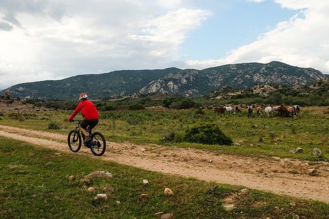 From the hills to Oasi Biderosa & Capo Comino with Electric Mountain Bikes - Practical Details & Tips