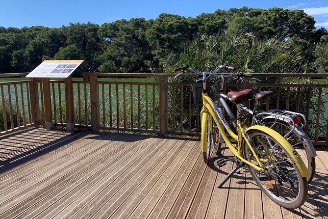 From the Old Town to the City of Arts  Small Group Bike Tour - The Futuristic City of Arts and Sciences