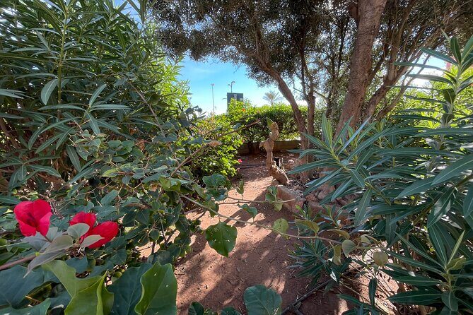 From the Old Town to the City of Arts  Small Group Bike Tour - The Value for Money