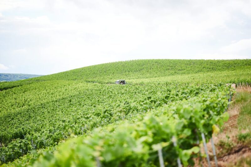From the vines to the Champagne glass with a vintage car - An in-Depth Look at the Experience
