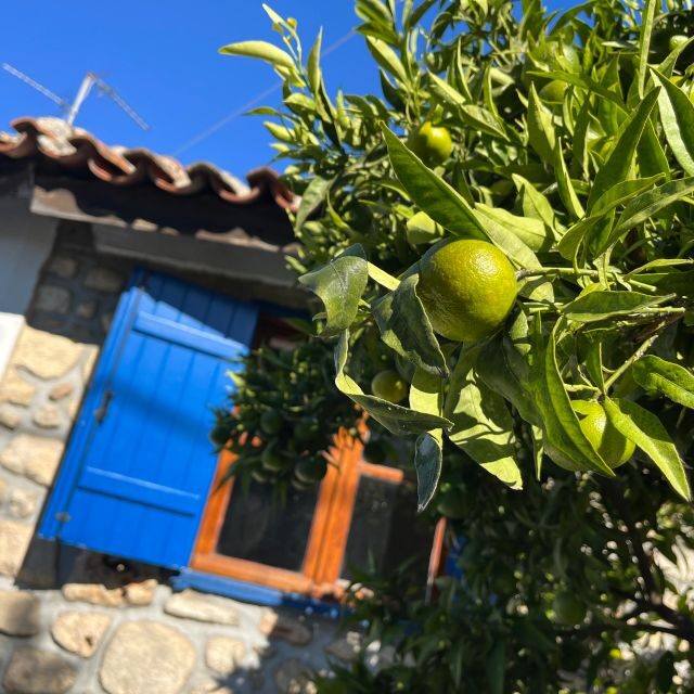 From Thessaloniki: Chalkidiki Hidden Gems Private Day Trip - Exploring Halkidiki’s Natural and Cultural Gems