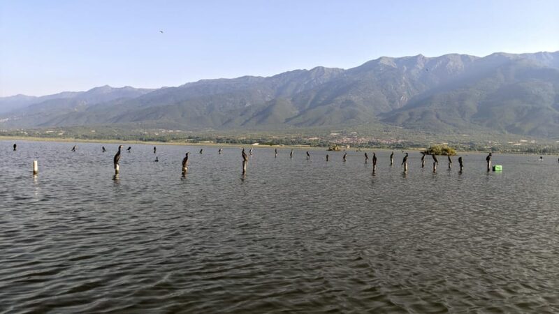 From Thessaloniki: Lake Kerkini, Boat Ride & Winery Day Tour - Key Points