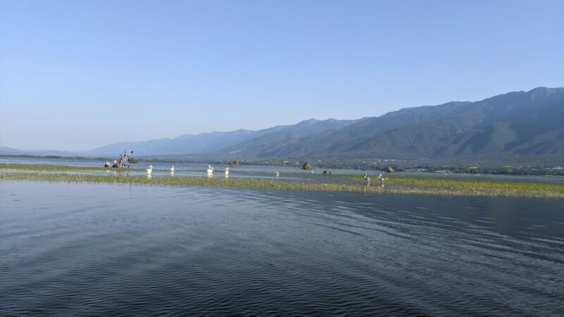 From Thessaloniki: Lake Kerkini, Boat Ride & Winery Day Tour - A Taste of the Region: Winery Visit and Wine Tasting