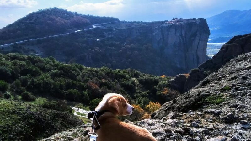 From Thessaloniki: Meteora Small Group Day Trip - Final Thoughts