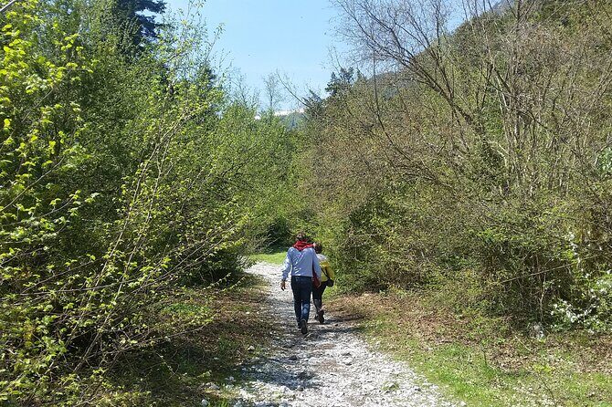 From Thessaloniki: Olympus and Dion History and Nature Day Trip - Key Points