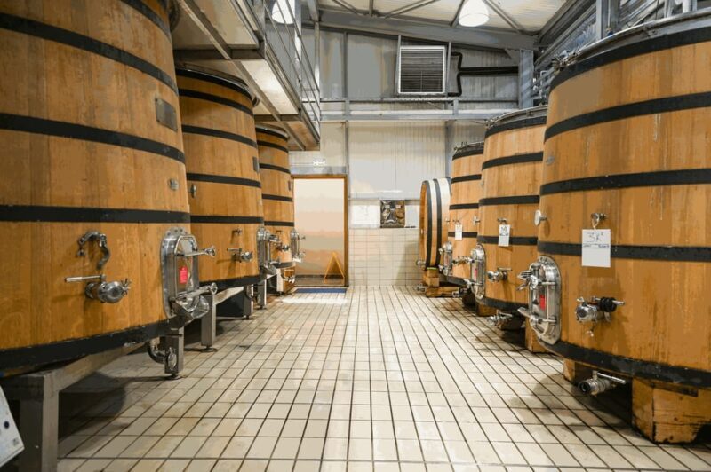 From Thessaloniki: Pella-Edessa-Naousa wine tasting - Who Should Consider This Tour?