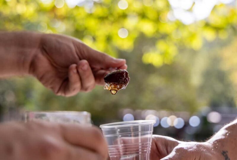 From Thessaloniki: Pozar Baths & Wine Tasting - Final Thoughts