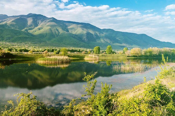 From Thessaloniki: Private Day Trip to Kerkini Lake - The Sum Up