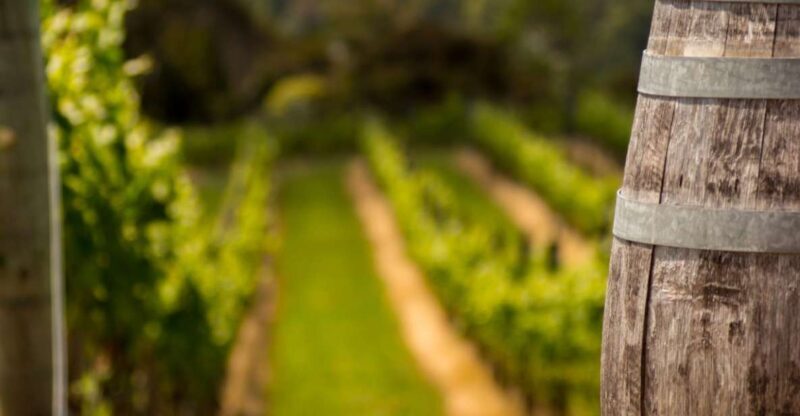 From Thessaloniki: Private Day Trip to Sithonia Chalkidiki - Exploring the Beauty of Sithonia in One Day