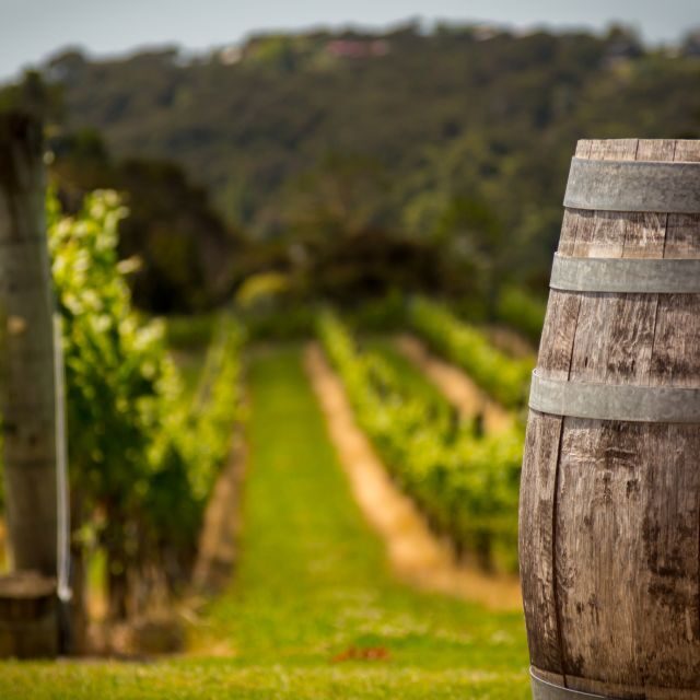 From Thessaloniki: Private Day Trip to Sithonia Chalkidiki - Who Will Love This Trip?