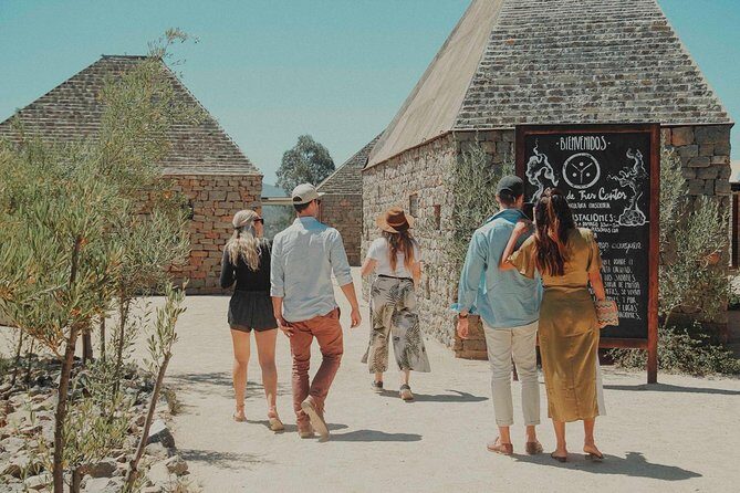 From Tijuana to Valle de Guadalupe private tour 6 passengers - Discovering Valle de Guadalupe from Tijuana