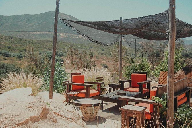 From Tijuana to Valle de Guadalupe private tour 6 passengers - Why Travelers Love This Experience